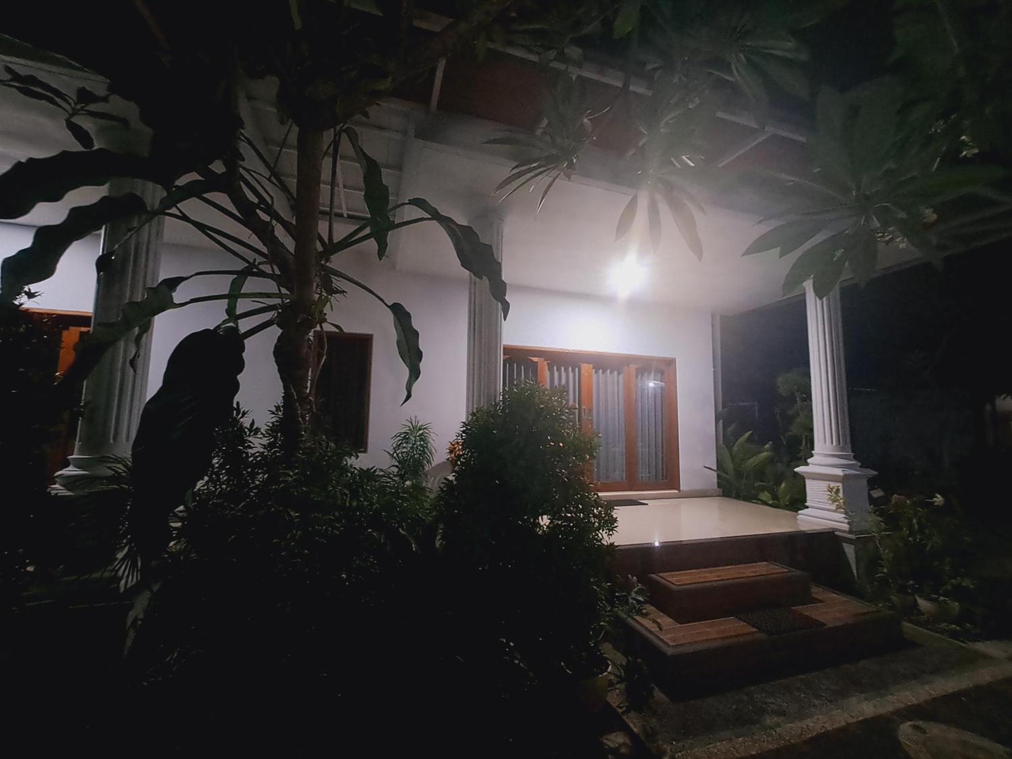 Srinadi Guest House Lovina Экстерьер фото